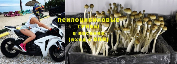 мяу мяу кристалл Медвежьегорск