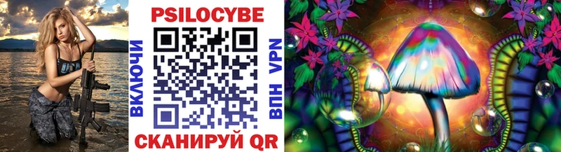 Галлюциногенные грибы Psilocybine cubensis  Купить где  Новоуральск 