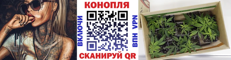 Шишки марихуана марихуана  Купить где  Новоуральск 